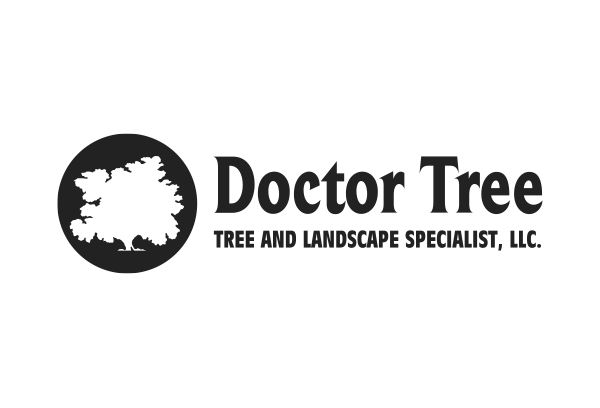 DoctorTree